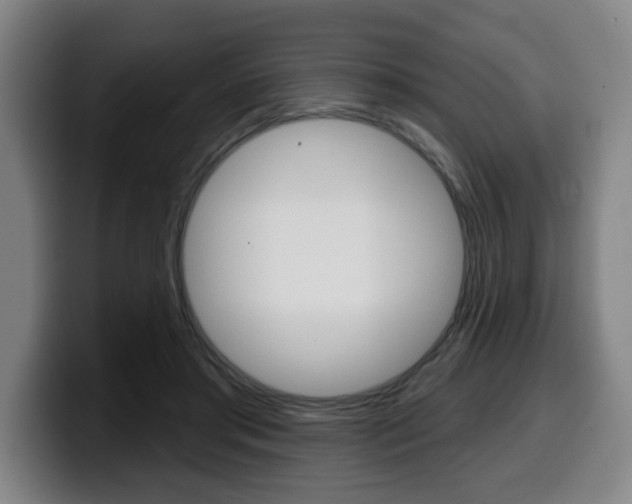 X0000099500405200805150954