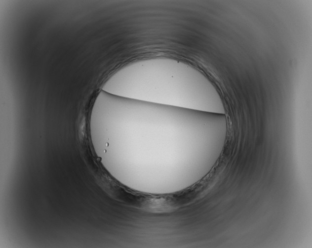 X0000099500406200805150954
