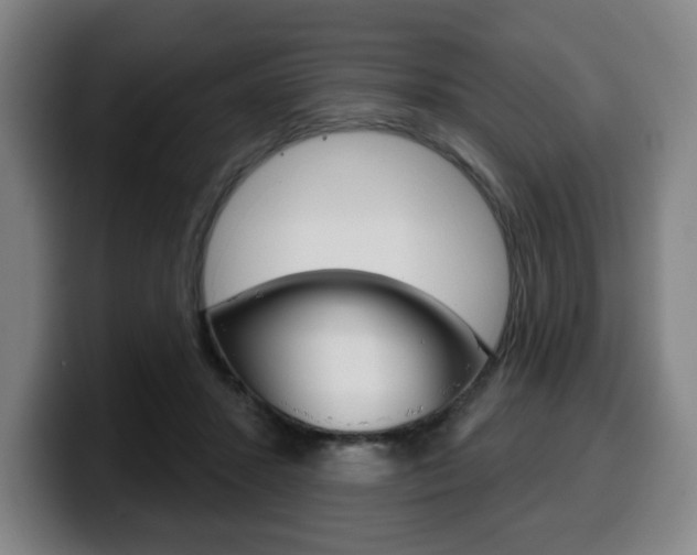 X0000099500407200805150954