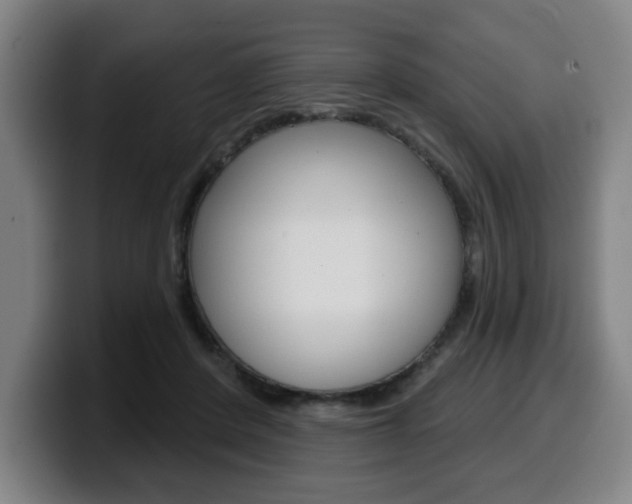 X0000099500408200805150954
