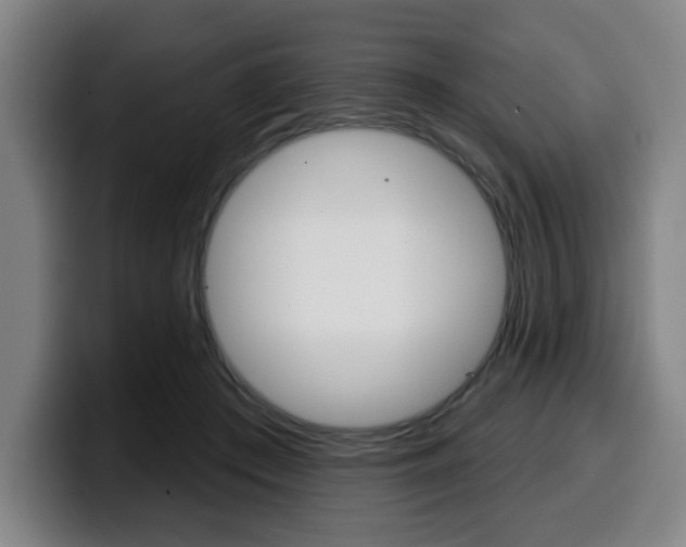 X0000099500409200805150954