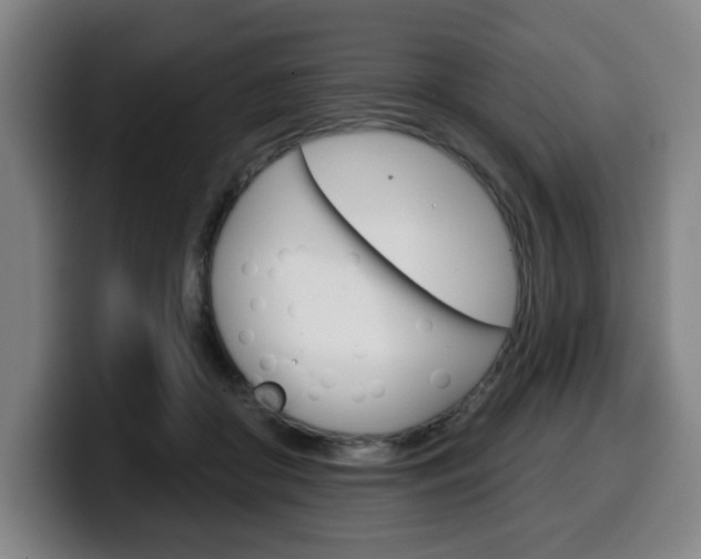 X0000099500410200805150954