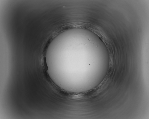 X0000099500411200805150954