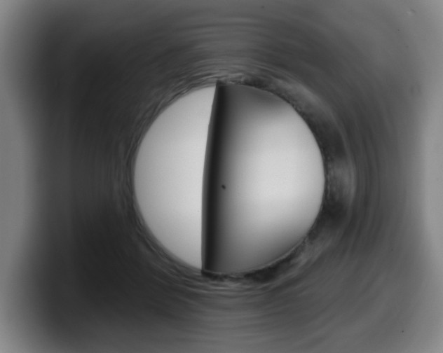 X0000099500412200805150954