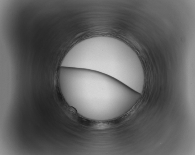 X0000099500413200805150954