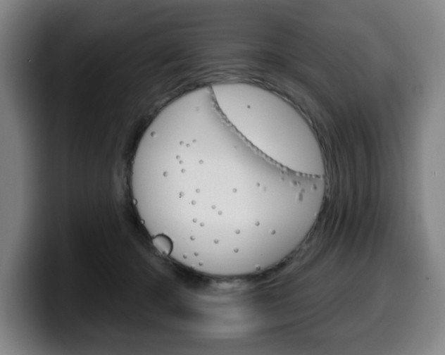 X0000099500414200805150954