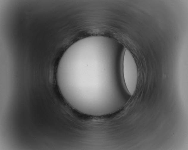 X0000099500416200805150953