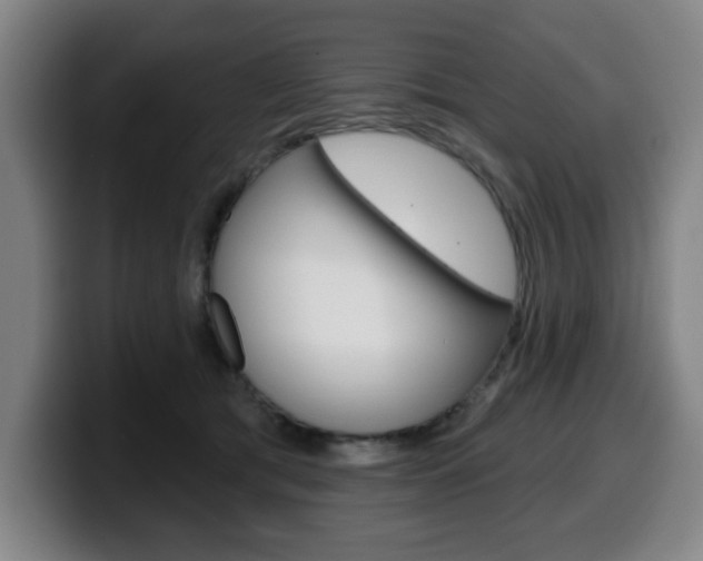 X0000099500417200805150953