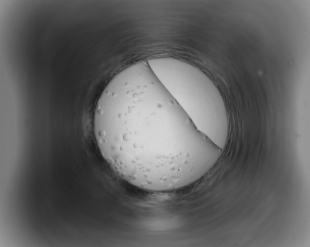 X0000099500418200805150953
