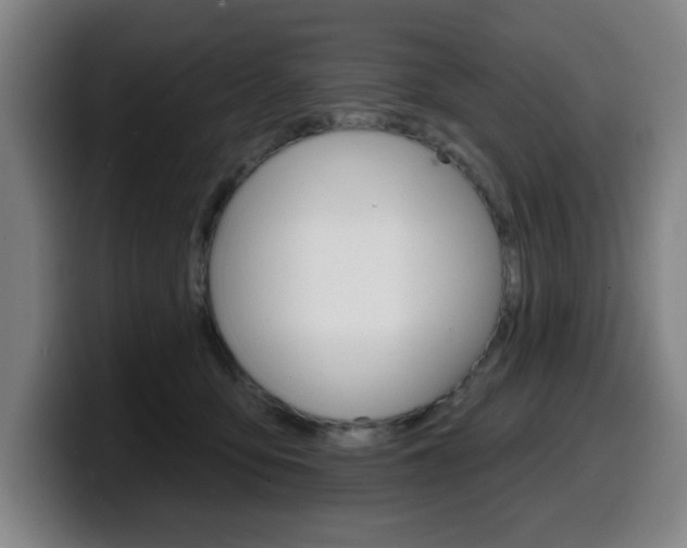 X0000099500419200805150953