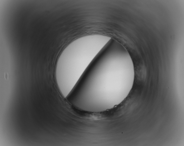 X0000099500420200805150953