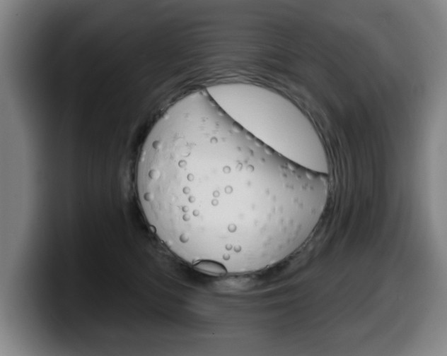 X0000099500422200805150953