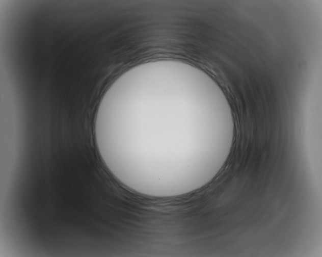 X0000099500423200805150953