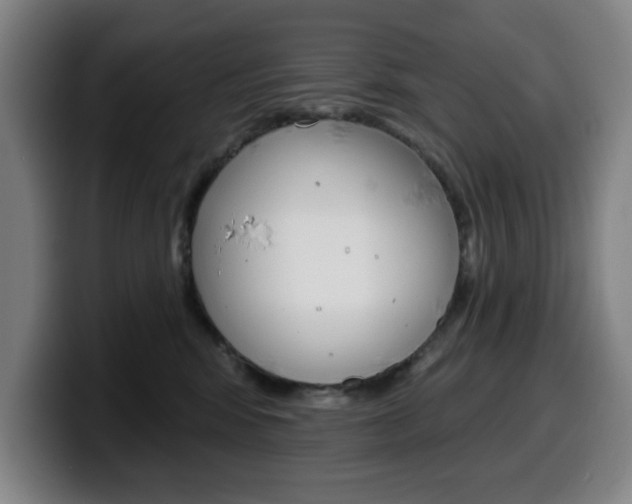 X0000099500424200805150953
