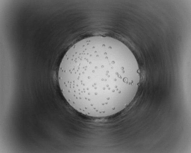 X0000099500426200805150953