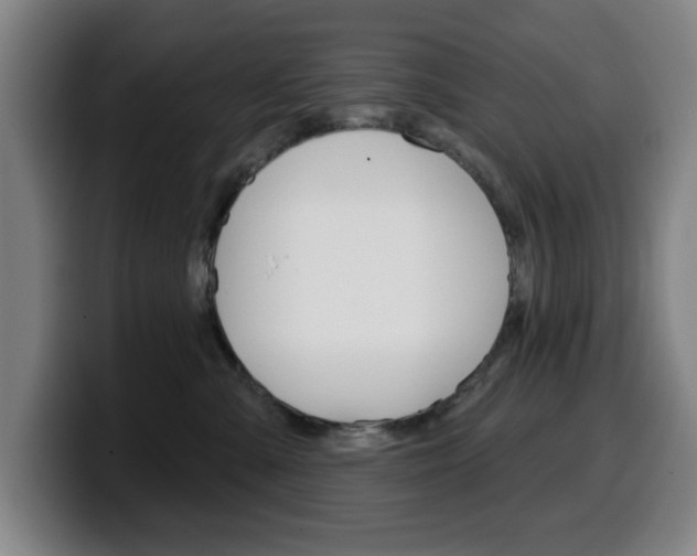 X0000099500427200805150953