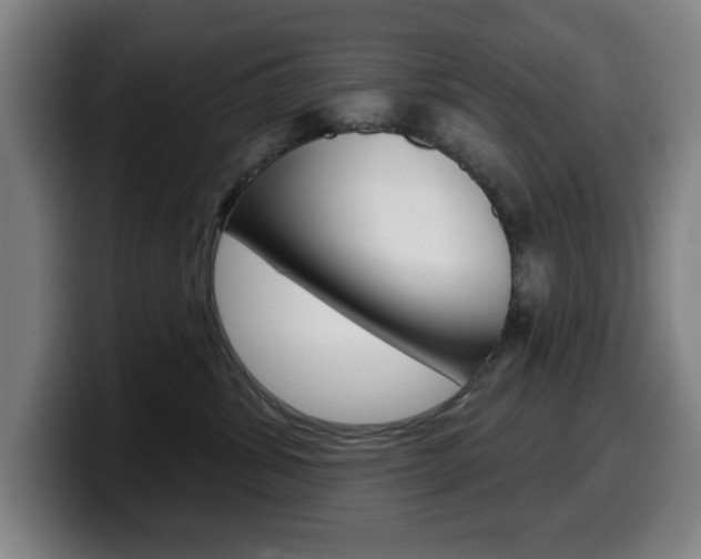 X0000099500428200805150953