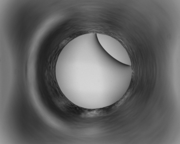 X0000099500430200805150953
