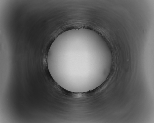 X0000099500432200805150953