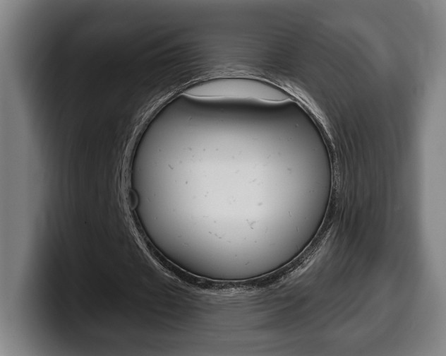 X0000099500433200805150953