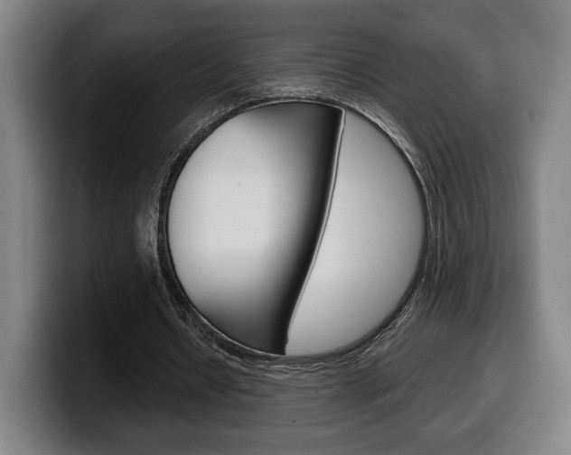 X0000099500434200805150953