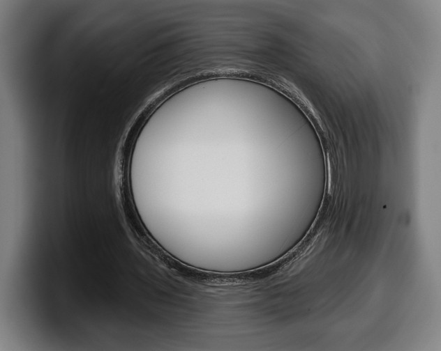 X0000099500435200805150953