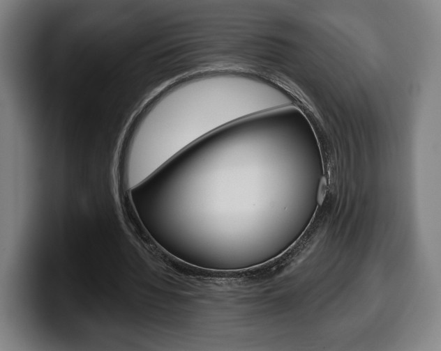 X0000099500436200805150953