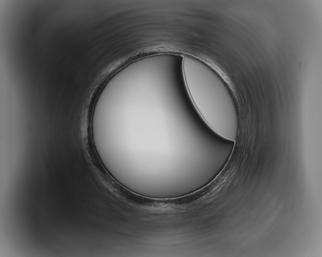 X0000099500437200805150953