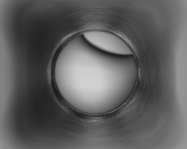 X0000099500438200805150953