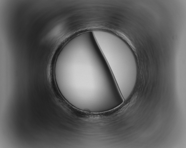 X0000099500439200805150953