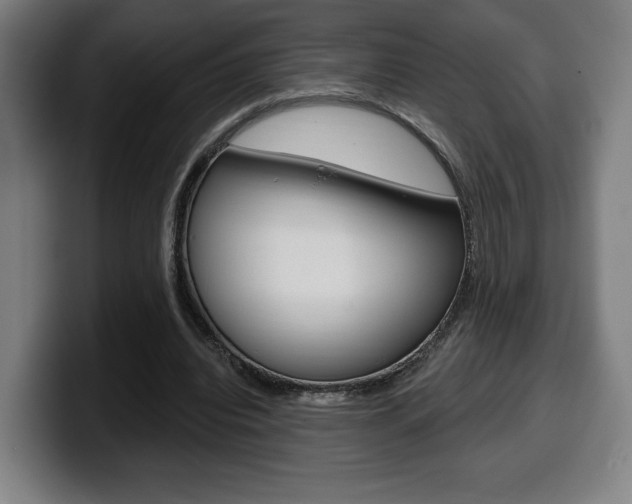 X0000099500440200805150953