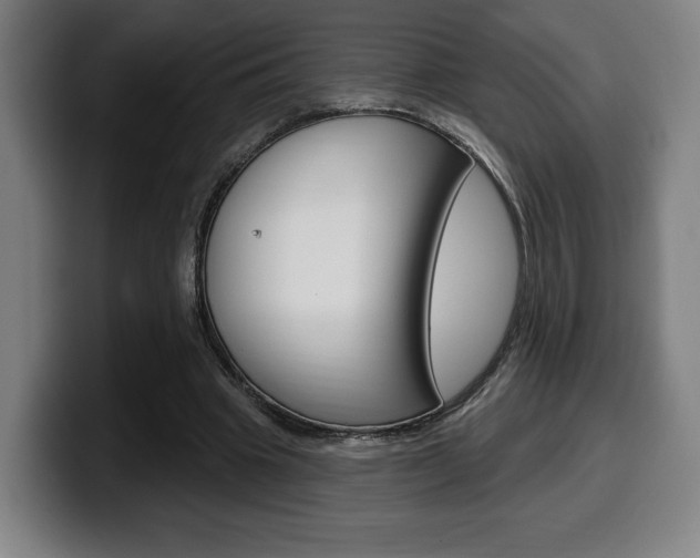 X0000099500441200805150953