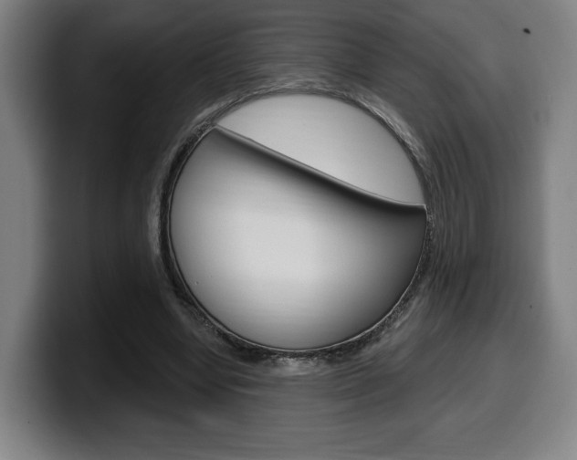 X0000099500442200805150953