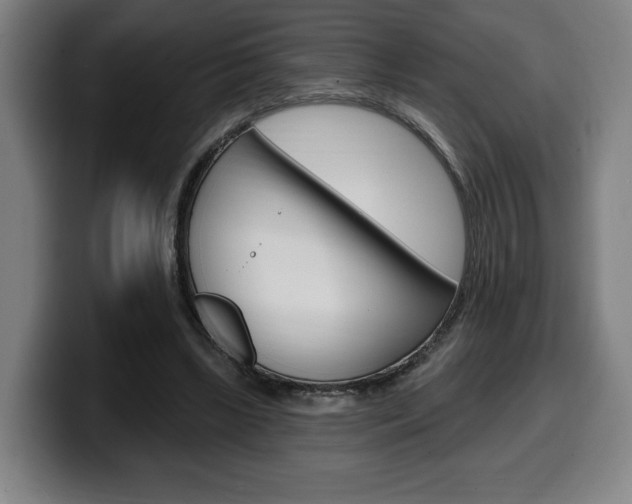X0000099500443200805150953