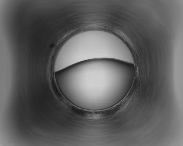 X0000099500444200805150953