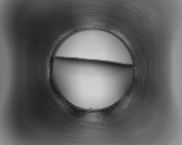 X0000099500446200805150953