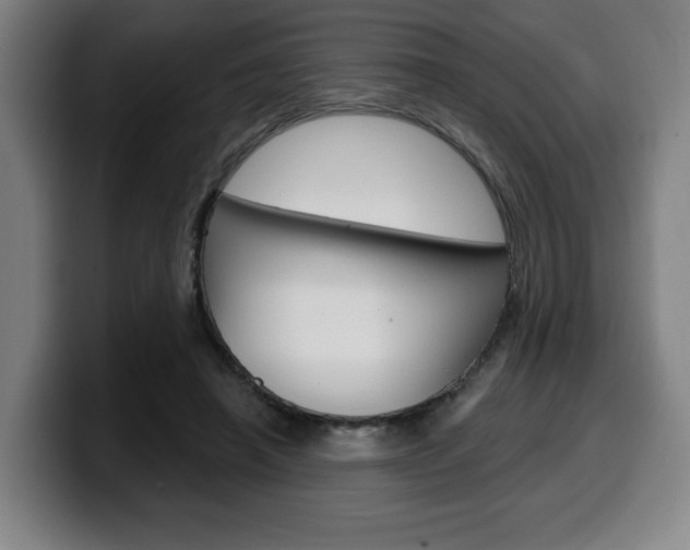 X0000099500450200805150953