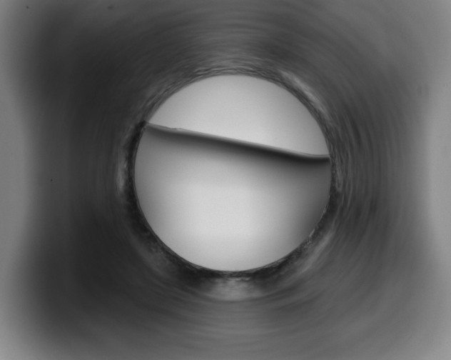 X0000099500451200805150953