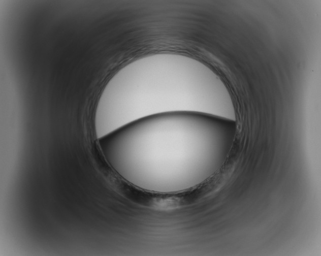 X0000099500452200805150953
