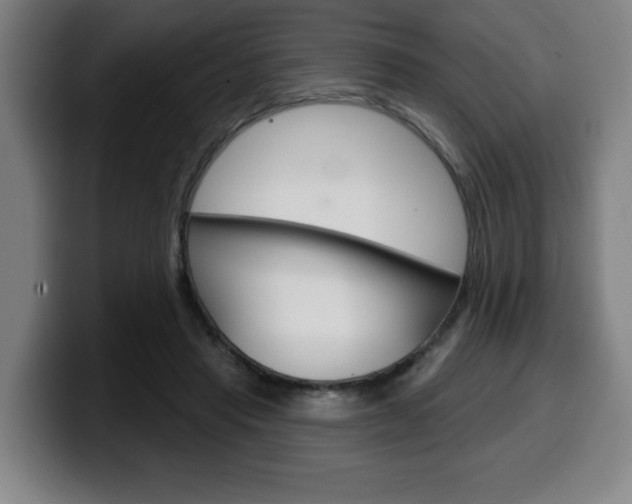 X0000099500453200805150953