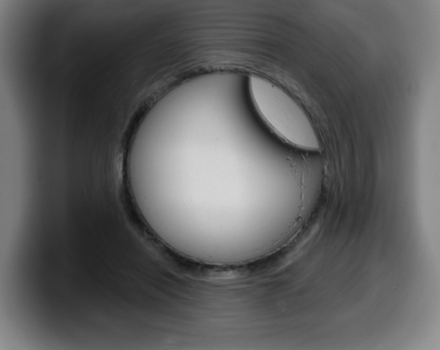 X0000099500454200805150953