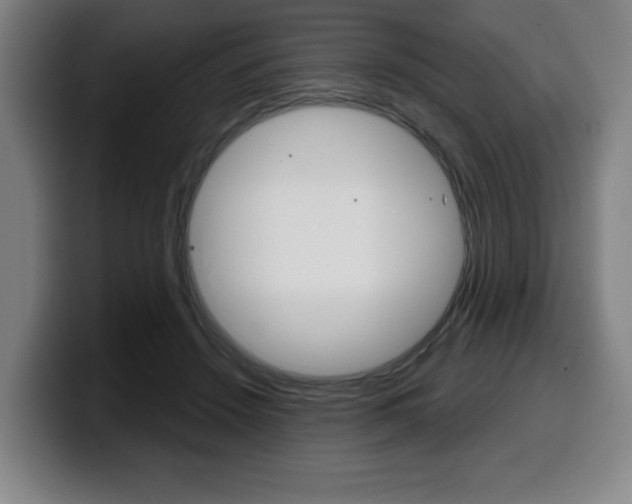 X0000099500456200805150953