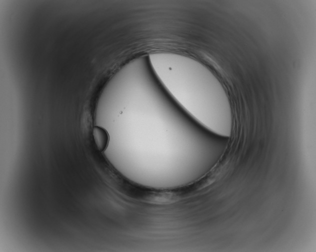 X0000099500459200805150953