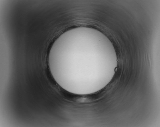 X0000099500460200805150953