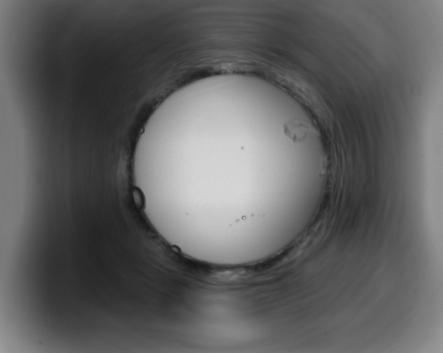 X0000099500461200805150953