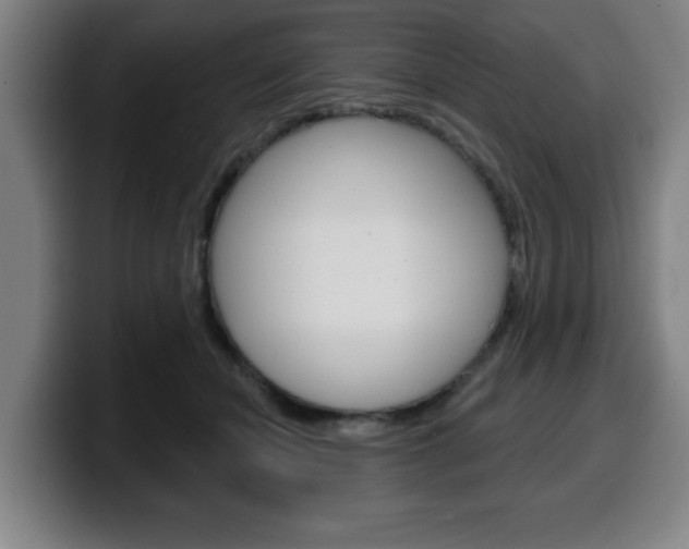 X0000099500462200805150953