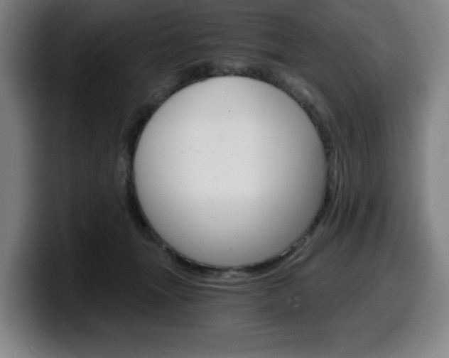 X0000099500463200805150953