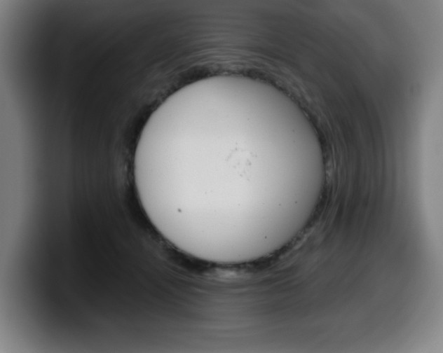X0000099500464200805150953