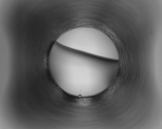 X0000099500465200805150953