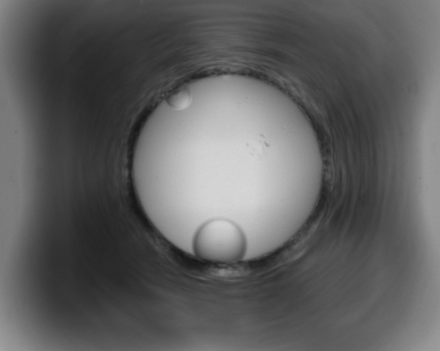 X0000099500466200805150953